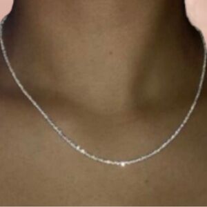 NWT - Minimalist chic dainty silver sparkle chain choker necklace 18 inch flash